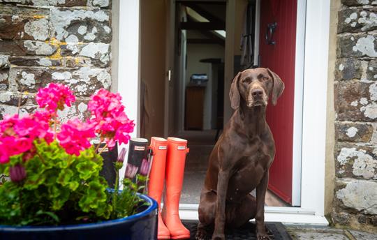 Tarka at Granary door