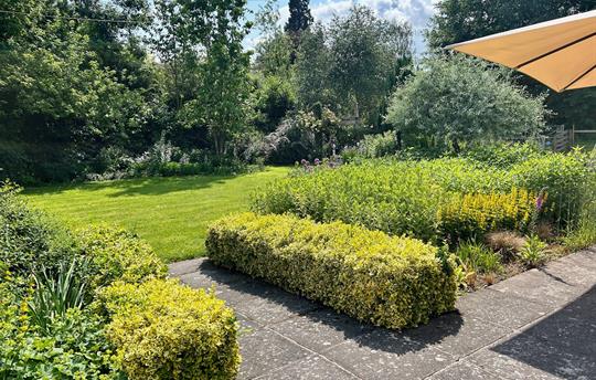 The very pretty garden at The Cider Mill