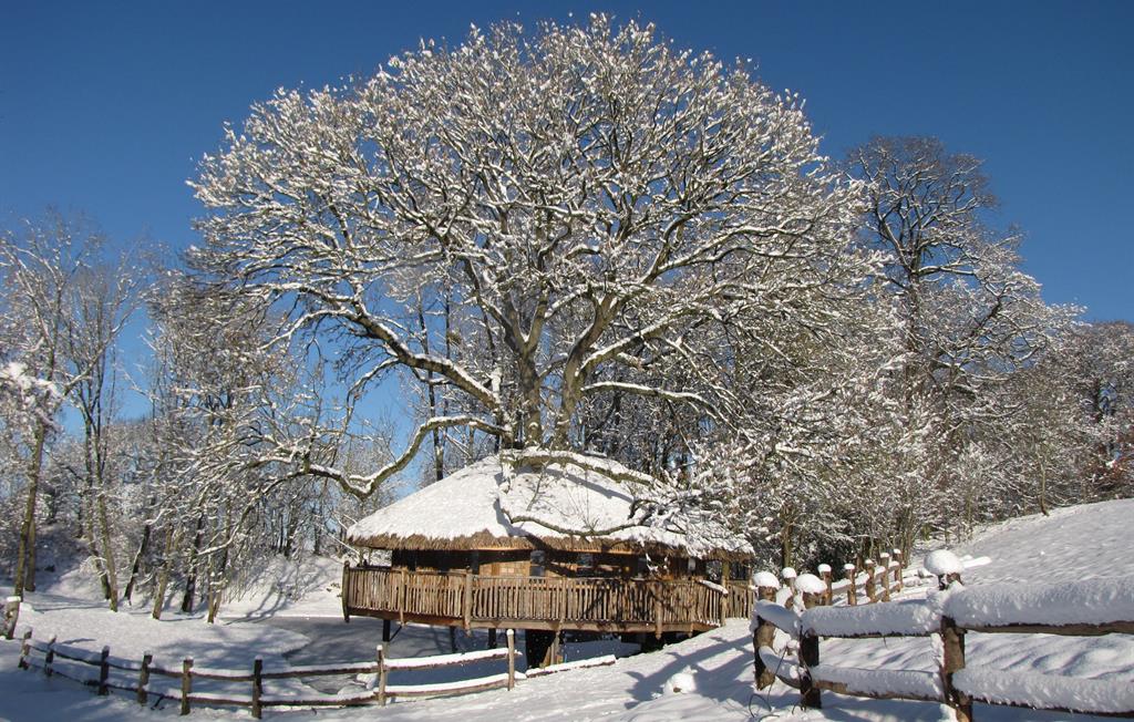 Vivianna luxury Treehouse covered in snow