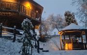 Eathelin luxury Treehouse covered in snow