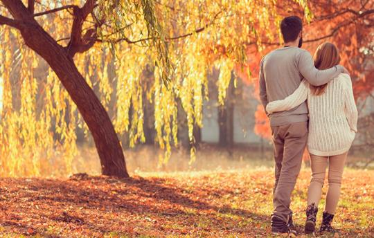 Cotswold Autumn Walk