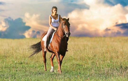 Cotswold Horse Riding