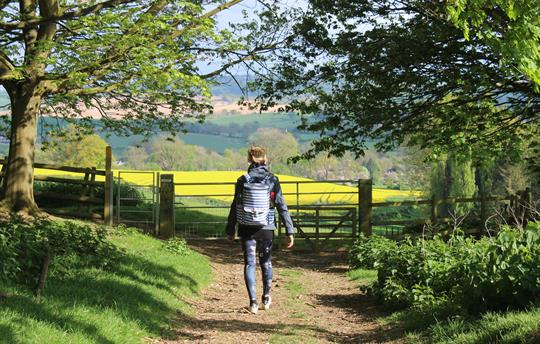 Cotswold Spring Walk
