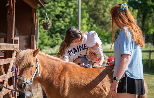 Farm Animal Experiences 