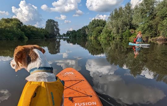 Paddle boarding on the River Severn