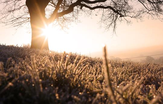 Have time to take in the scenery