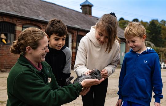 Places to visit for all the family