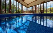 Large swimming pool with views across the lawn.