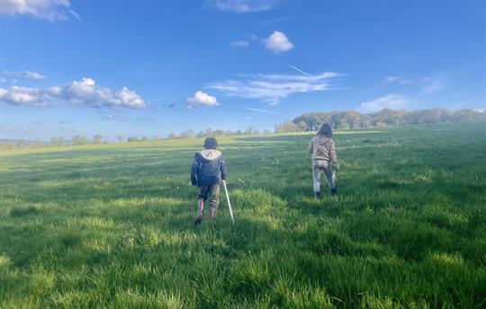 Walks around the farm.