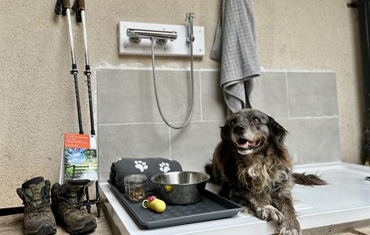 Dog friendly -hot dog shower at The Nest