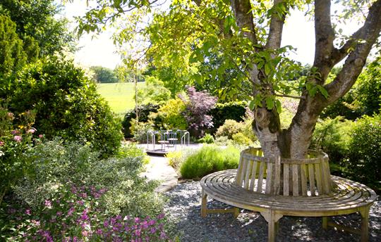 Shade under the upper walnut tree
