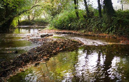 River Tone at the bottom of the farm