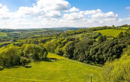 Dog Park Central Bark at Kernock Cottages