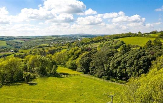 Dog Park Central Bark at Kernock Cottages