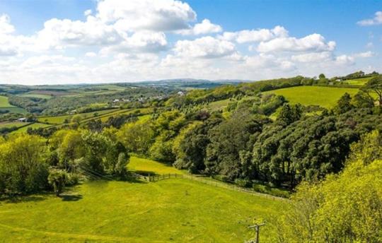 Dog Park Central Bark at Kernock Cottages