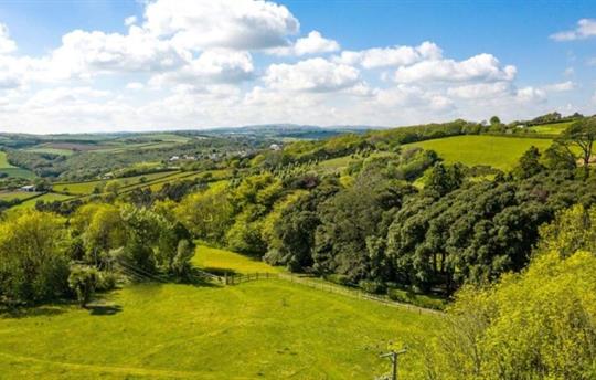 Dog Park Central Bark at Kernock Cottages