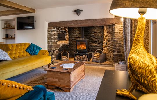 Living Area & Wood Burning Stove