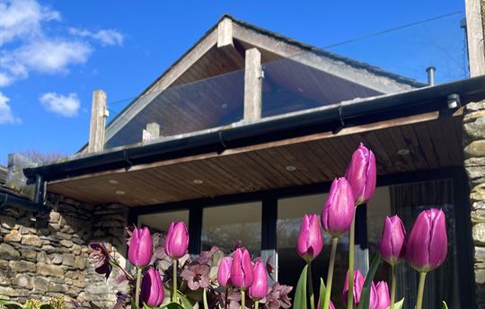 Shepherds View flowers