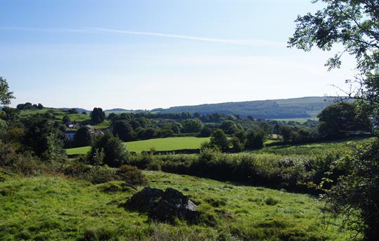 Views from our fields