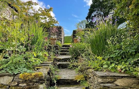 Steps behind the cottages