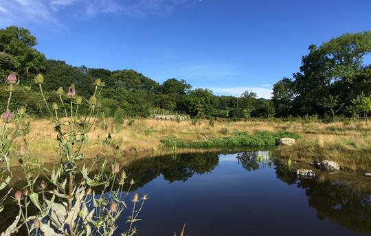Crumble Cottages ponds