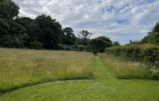 Crumble Cottage Wildflower Meadow