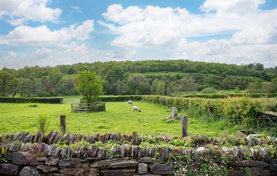 Meadow Barn garden view
