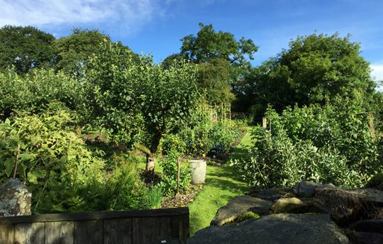 Crumble Cottages Vegetable Gardens