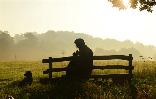 Rest and recharge underneath an ancient Oak Tree
