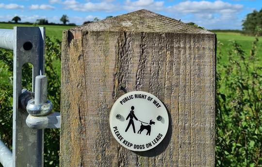 Many dog friendly walks on your doorstep
