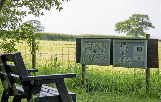 Enjoy our peaceful Bird Watching area