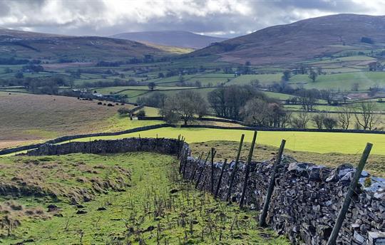 Views from local walk from the door