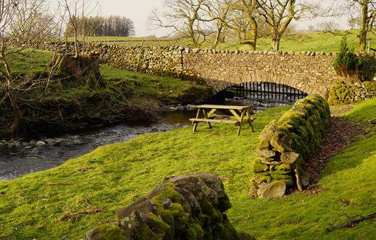 Beckside Garden picnic area