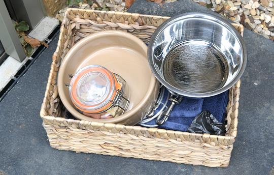 We welcome up to 3 dogs