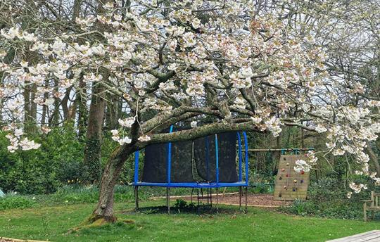 Broomhill Manor Trampoline