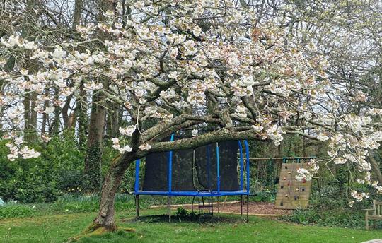 Broomhill Manor Trampoline