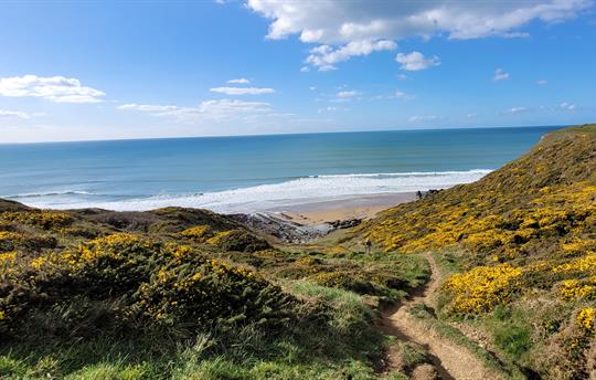 North Cornwall Coastline