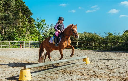 Jumping lesson at Broomhill Manor stables