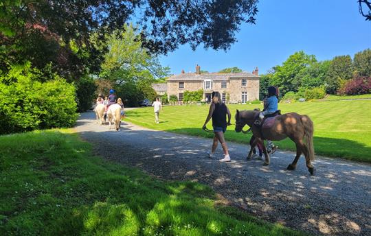 Horse Riding at Broomhill Manor