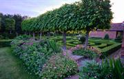 Herbaceous borders and knot garden