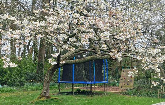 Broomhill Manor Trampoline