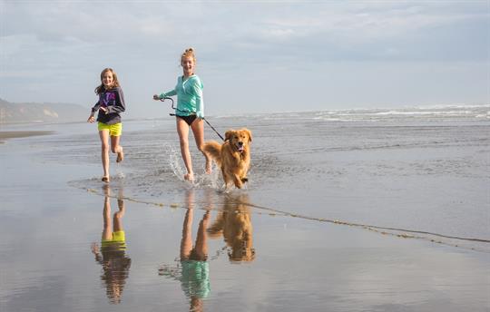 Dog friendly holidays