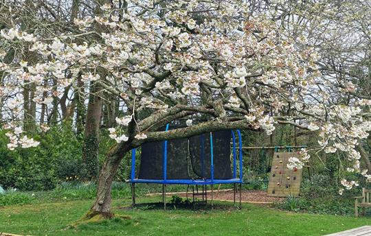 Broomhill Manor Trampoline