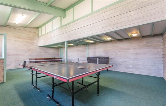 Games room with table tennis