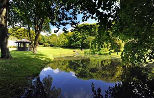 Beatiful pond in the lower grounds