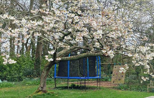Broomhill Manor Trampoline