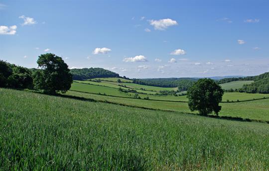 Stunning views all around