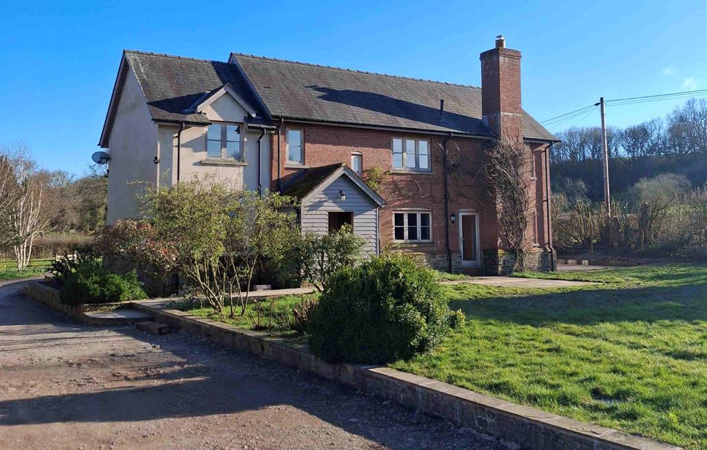 View from back garden towards the house