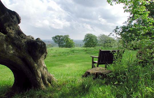 Ash Cottage