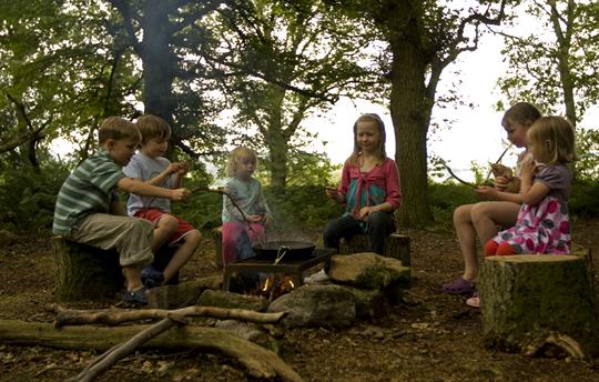 Sausage sizzle in our 40 acre wood